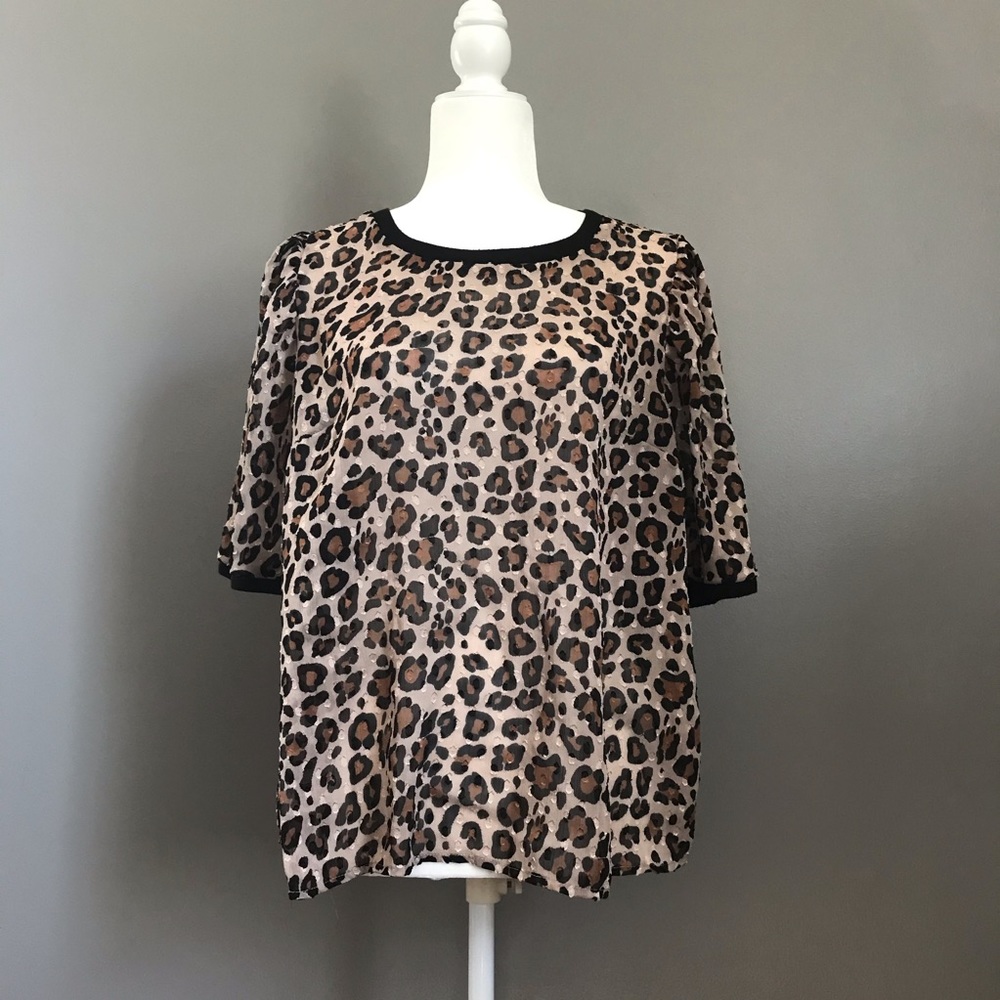 Sheer Leopard Print Top